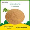 Amostra Grátis de Alface, Nova Safra de Alface Verde Picada, Alface Aromática, Matérias-Primas Vegetais, Fábrica com Grande Quantidade, Preço Favorável, Grande Estoque Disponível