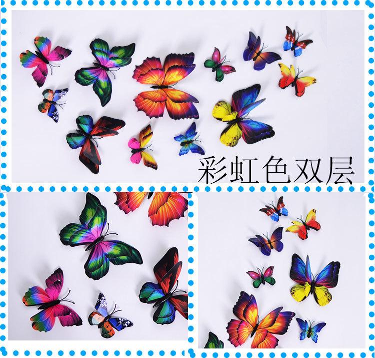 新版蝴蝶详情_12.jpg
