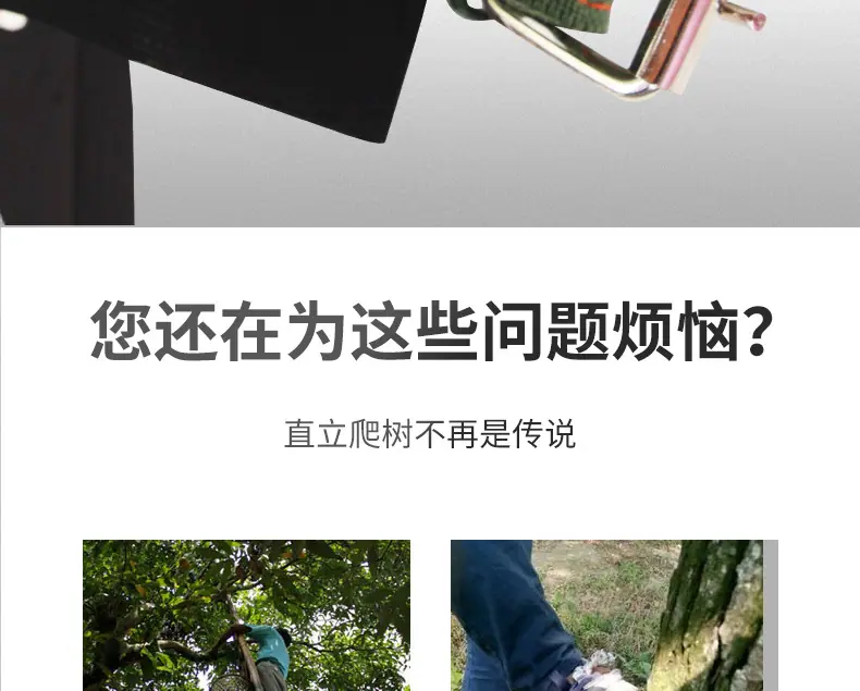 改图4_11.jpg