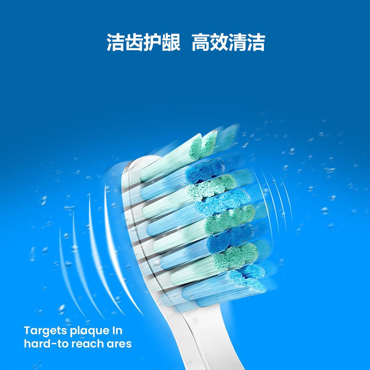 洁齿护龈 高效清洁