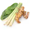 Especias para Sopa Tom Yum, Verduras Frescas, Hierba Limón, Galanga, Hojas de Lima, Menú Completo, Condimentos Comestibles, Condimentos para Cocinar, Otros