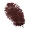 Direto da fábrica 20-25cm pena de avestruz performance de palco Pena branca casamento DIY decoração pena de avestruz atacado