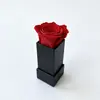 Flores eternas más vendidas de Amazon para el Día de San Valentín, regalo transfronterizo al por mayor, cubos de abrazo multiespecificación, flores eternas personalizadas al por mayor