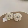 Pendientes de Turmalina en Grava de Piedra Natural para Mujer, Mini, Compactos, Sencillos, Versátiles, Modernos, Exquisitos, Dulces y Elegantes