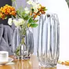 Vaso de Vidrio de Sodio y Calcio Transfronterizo al por Mayor Estilo Europeo Fresco y Sencillo Jarrón de Vidrio Sala de Estar en Casa Arreglo Floral Florero para Flores Frescas