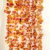 Simulação Vinha de Folhas de Bordo Vermelho Vinha de Flores Plásticas Decoração de Vinha Flores Artificiais Treliça Plantas de Teto Enrolamento de Tubo