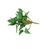 Hojas Mini de Caucho Blando de Anturio Rojo con Centella Asiática, Flores Artificiales, Plantas Verdes, Decoración para el Hogar, Decoración de Paisaje