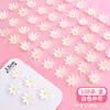 Ingredientes para Postre Snack Pudín de Tofu con Leche de Sakura, Materiales para Puesto Popular en Línea, Set Completo para Uso Comercial, Precio al por Mayor