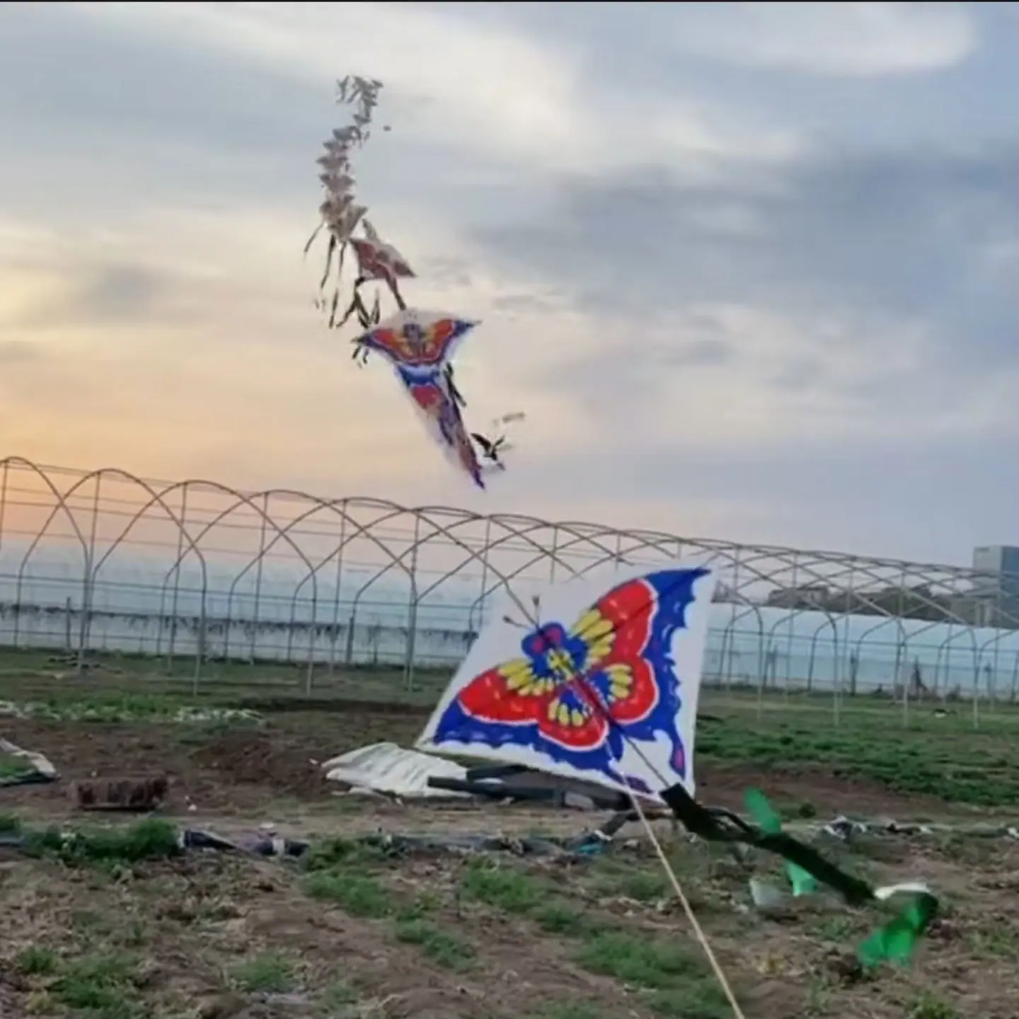 微信图片_20251009125519_725_12
