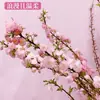 Plántulas, Perlas, Ciruelas Pasas, Ramas de Durazno, Flores de Cerezo, Plantas Hidropónicas con Brotes, Florales Secos Cortados Frescos, Sauces de Nieve Cultivados en Agua de Interior
