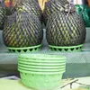 Anillo Fijador de Sandía Exhibidor de Frutas de Supermercado Base para Durian Bandeja para Melón Cantalupo Anillo Base Engrosado Antivuelco
