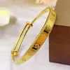 Pulseira deslizante de trevo de quatro folhas da sorte em imitação de ouro vietnamita, moderna, luxo leve, design simples e fresco, abertura ajustável