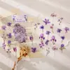 Pegatinas de PVC para diario de plantas y flores, pegatinas decorativas DIY, materiales para manualidades y collage para estudiantes, regalo para niños