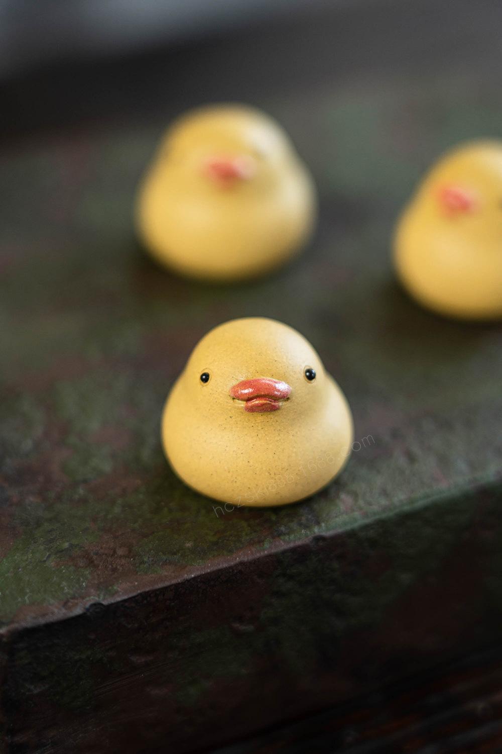 小鸭子 20220626 (28).jpg