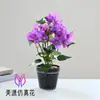 Bonsai Pequeno de Buganvília Flor Artificial de Alto Padrão Decoração Criativa para Interior Planta Verde Fabricante da Amazon Planta em Vaso Artificial Flor Artificial