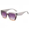 Nuevas de Moda Gafas de Sol Versátiles para Hombres y Mujeres con Montura Grande Montura Cuadrada Bicolor Personalizada Montura de PC Gafas de Venta al por Mayor Transfronteriza