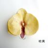 Flores de Orquídea Phalaenopsis Simuladas DIY Grampo de Cabelo Acessório de Cabelo Flores Artificiais DIY Grampo de Cabelo Acessórios para Roupas Decoração de Mesa de Sobremesas