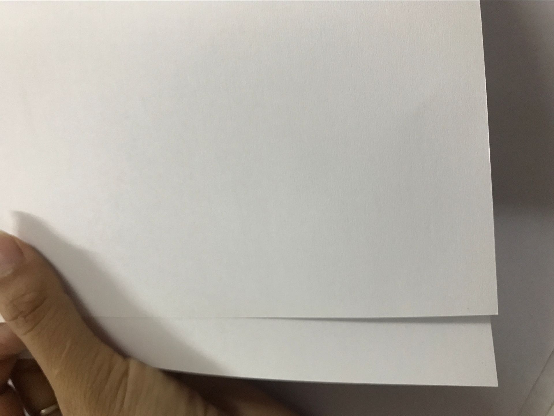 白板纸4