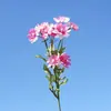 Oferta Especial Crisântemo Dourado Pastoral de Haste Curta Crisântemo de Múltiplas Cabeças Flor Artificial Flor de Seda Fotografia Decoração de Casamento Flor Falsa