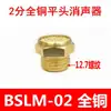 Silenciador de cobre de aço inoxidável cabeça chata/cabeça longa/silenciador de plástico pneumático 1/2/3/4/redutor de ruído para válvula solenóide