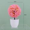 Sakura Bola de Nieve Planta Simulada Maceta Bola de Hierba Bonsái Árbol Pequeño Decoración para el Hogar Adorno Floral Creativo Mini Bola Pequeña Redonda