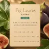 Botella pequeña de 10 ml de aceite esencial de aromaterapia sin llama, líquido de recarga para difusor de aroma de hotel, fragancia natural, aroma duradero, venta al por mayor