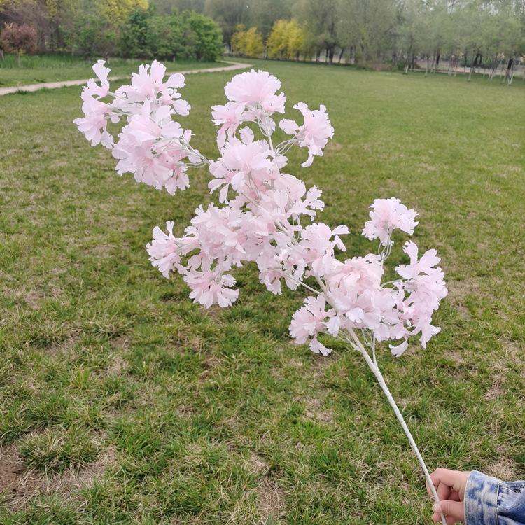 IMG_20210421_100745_副本