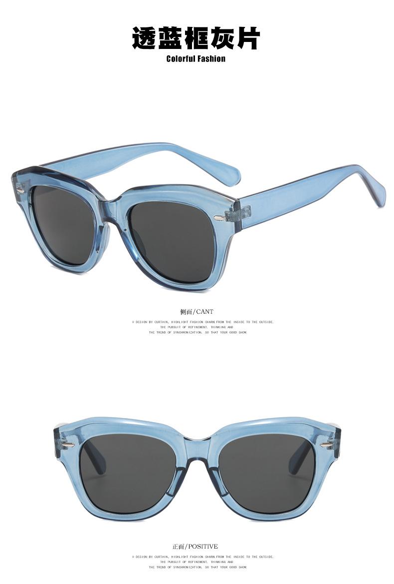 太阳镜(1)_08.jpg