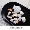 Decoración de velas DIY concha caracol estrella de mar concha pequeña hecho a mano Cera de gelatina Vaso de cera Marino material diy