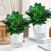 Plantas Verdes en Maceta Diamante Dorado, Plantas Hidropónicas, Flores de Interior Fáciles de Cuidar, Plantas Verdes, Suculentas para Sala de Estar, Hogar Nuevo, Purificación del Aire