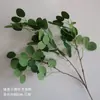 Flor de Simulación Verde Decoración Auditorio de Bodas Material de Flores para Bodas Flor Exterior Planta Verde Belleza Chen Arreglo Sanwei Kwai Mori Ceremonial de Bodas