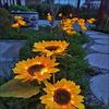 Girasol Solar Exterior Jardín Patio Balcón Decorativo Inserto de Piso Césped Paisaje Luz Nocturna
