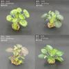 Simulación flor falsa pasto falso planta verde decoración paisajística pecera adornos acuario suministro fabricantes comercio electrónico transfronterizo