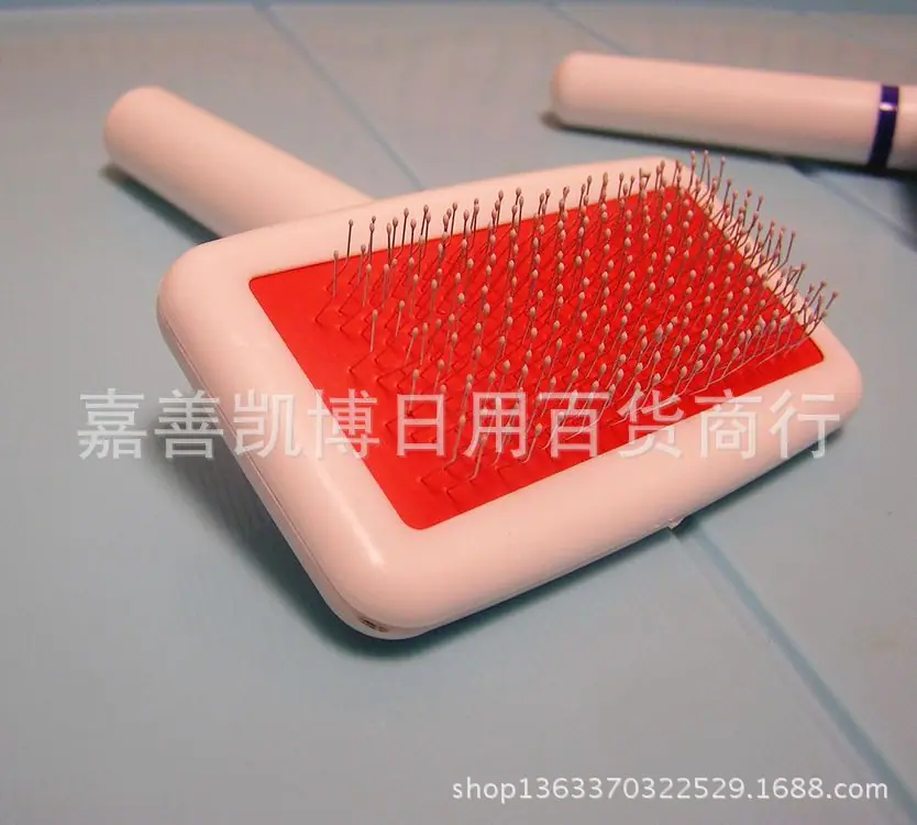 P1010010