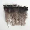 Venda Direta de Fábrica de Quase 100 Tipos de Acessórios Naturais de Penas Pequenas para Joias DIY, Acessórios de Cabeça, Broches, Chapéus, Materiais de Decoração para Artesanato