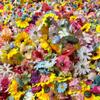 Cortina de Puerta Anillo de Flor Flotante Creación Tarjeta Fotográfica Simulación Cortina de Flores Lluvia de Pétalos de Flor Cascada Escena de Flores Decoración