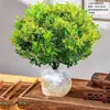 Planta de Gardenia Milanese en Maceta Grande, Fácil de Cuidar, Planta de Jardín Fragante, Planta Verde con Fragancia Fuerte, Florece con Capullos de Flor