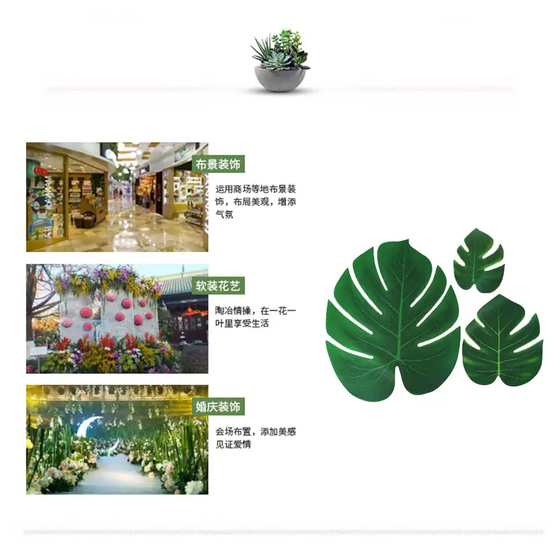 详情2.jpg