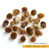 Material DIY de Flor Seca [Fruta Seca] Rapsodia Vela de Aromaterapia Espécimen de Planta Clase de Artesanía Material de Rama de Flor Seca