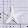 Estrella de Mar Concha Resina Accesorios DIY Pegamento de Crema Funda de Teléfono Pasador Adorno para el Cabello Cable de Datos Flor para Zapatos Colgante Materiales Venta al por Mayor