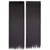 Extensiones de cabello lacio de una pieza con 5 clips para estilo Hanfu antiguo y peinados de estudio fotográfico, cabello lacio largo