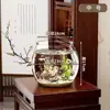 Aquário de peixes transparente de plástico pequeno aquário micro paisagismo paisagismo escritório tanque de tartarugas ornamentais tanque ecológico de mesa