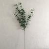 Tenedor INS4 Nórdico hoja de dinero eucalipto flor artificial decoración boda hogar Pared de Plantas flor artificial flor de seda de lana