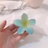 Presilha Grande de Flor Transparente, Presilha de Cabelo Doce Elegante, Verão Banho Parte de Trás da Cabeça Presilha Tubarão Presilha de Cabelo Acessório de Cabelo