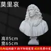 Estátua de Gesso de Davi Estátua de Gesso Ornamentos Arte Ensinamento Consciente Vênus Xiaowei Pirata Decorações Europeias e Americanas Escultura Ornamentos