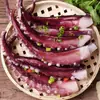 Frutos do Mar Frescos Congelados Tentáculos de Polvo Frescos Tentáculos de Polvo Pequeno Prato Lateral para Hot Pot Meio Jin LD Dropshipping Amazon