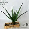 2026 Simulación de Suculentas Mini Adornos Combinación Decoración Exterior para el Hogar Plantas en Maceta Bonsái Suculentas Decoración al por Mayor