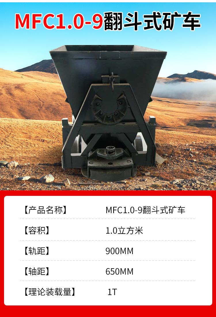MFC1_04.jpg
