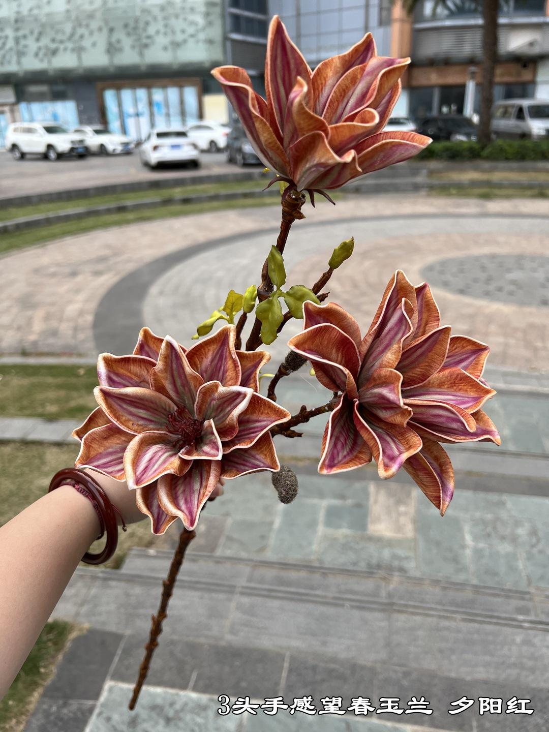 微信图片_20230319093056.jpg
