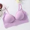 Comercio exterior transfronterizo Shein TEMU Amazon sujetador europeo y americano sin costuras de espalda descubierta con copas fijas, sin aros, lencería para mujer